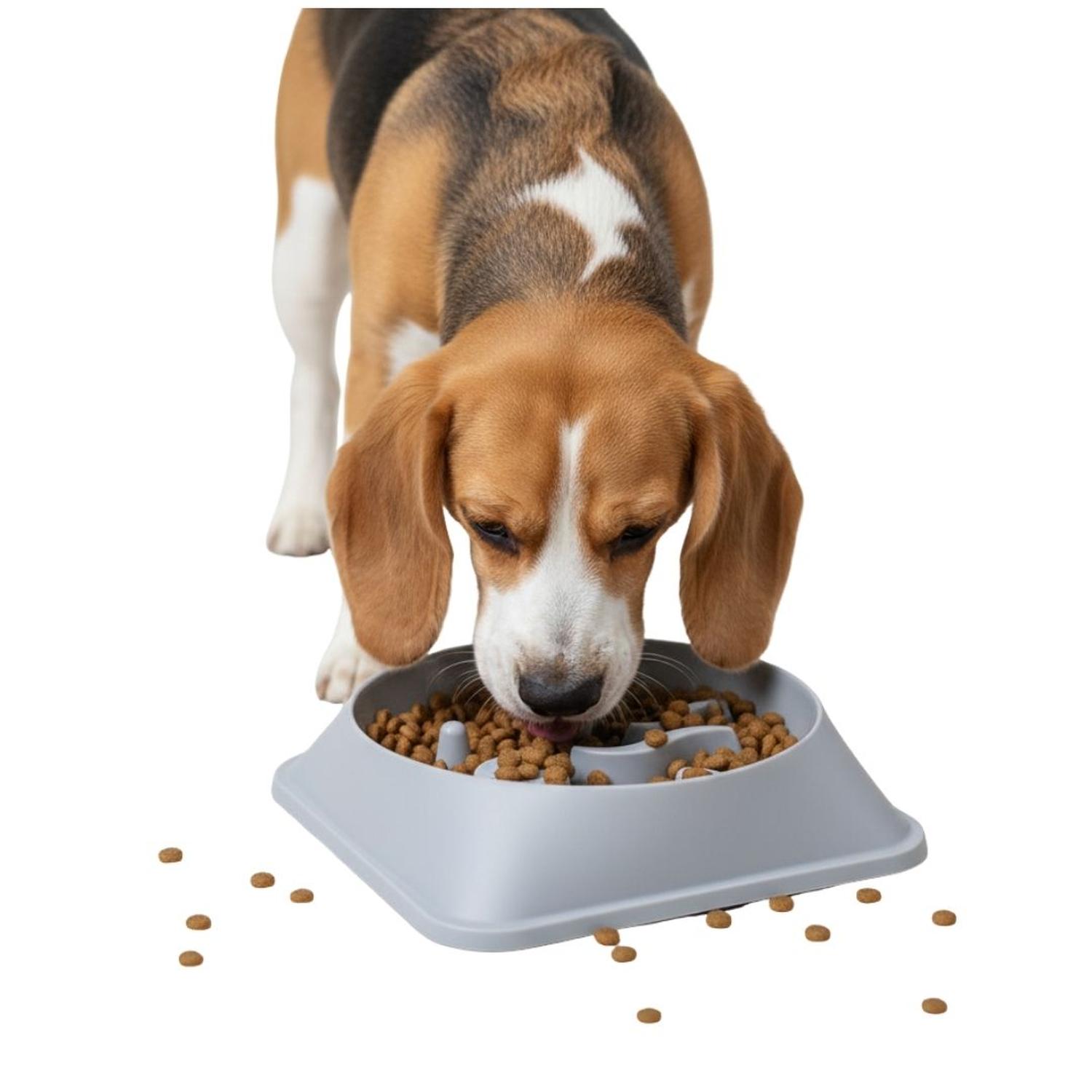PLATO ANTIESTRÉS PARA MASCOTAS MEJORA DIGESTIÓN COMEDERO PERROS Y GATOS TAMAÑO M - 2