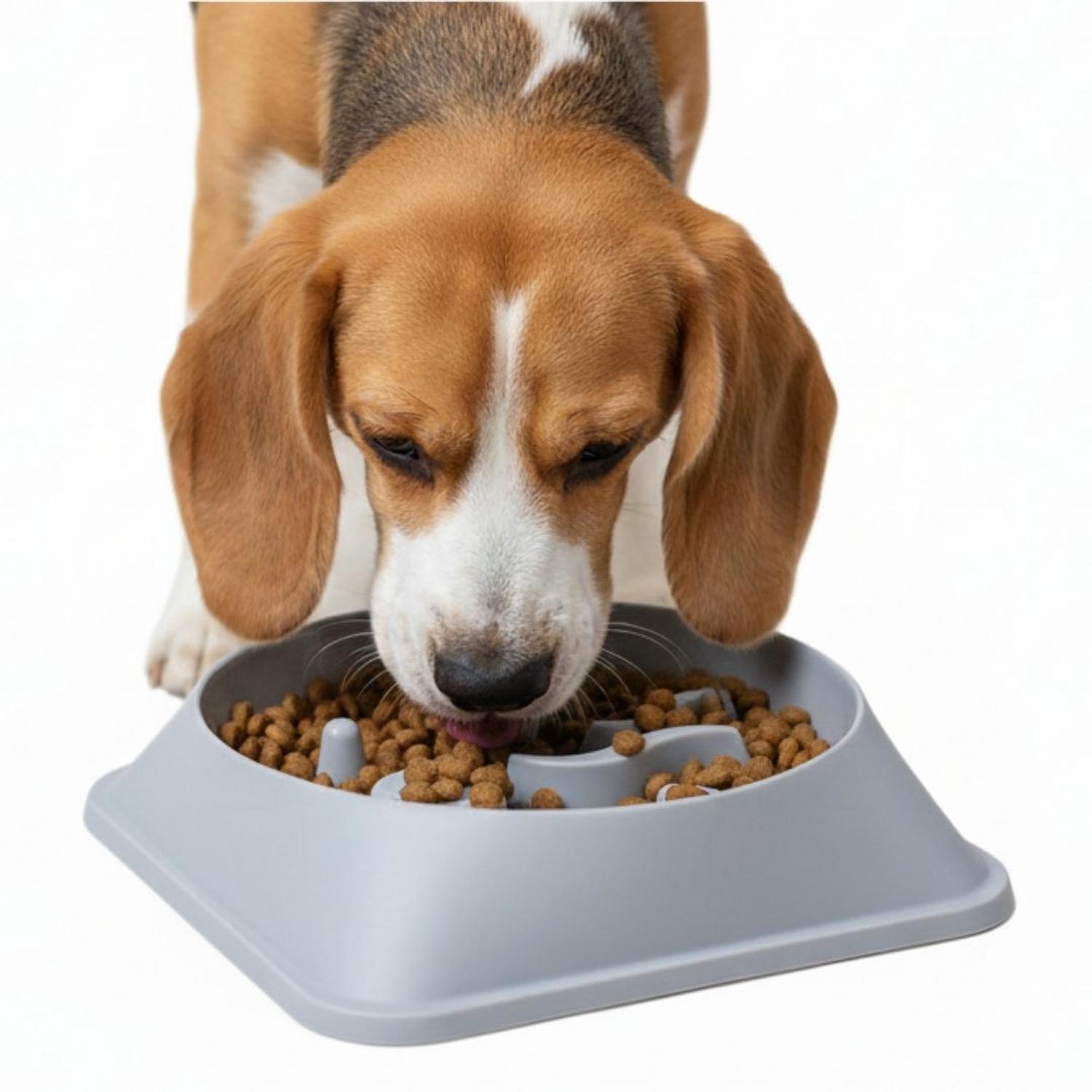 PLATO ANTIESTRÉS PARA MASCOTAS MEJORA DIGESTIÓN COMEDERO PERROS Y GATOS TAMAÑO M - 3