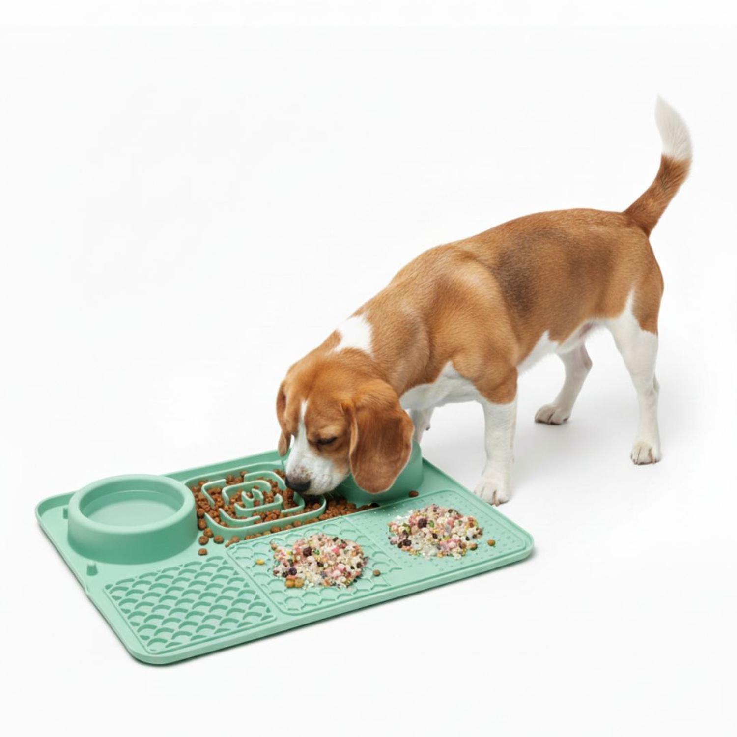 PLATO ANTIESTRÉS PARA MASCOTAS MEJORA DIGESTIÓN PERROS Y GATOS 6 EN 1 COMEDERO BEBEDERO TAMAÑO M - 1