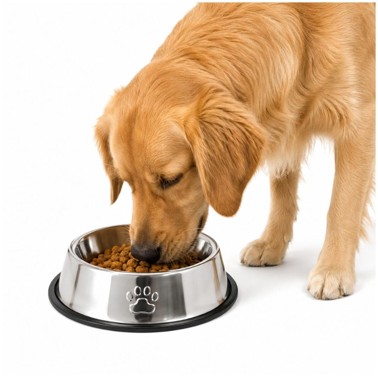 PLATO COMEDERO PARA MASCOTAS 33CM ACERO INOXIDABLE ANTIDESLIZANTE PERROS Y GATOS - 1