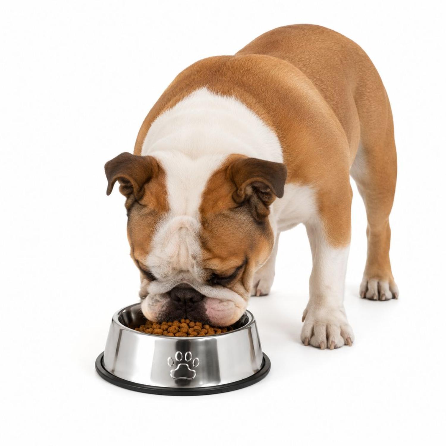 PLATO COMEDERO PARA MASCOTAS 30CM ACERO INOXIDABLE ANTIDESLIZANTE PERROS Y GATOS - 1