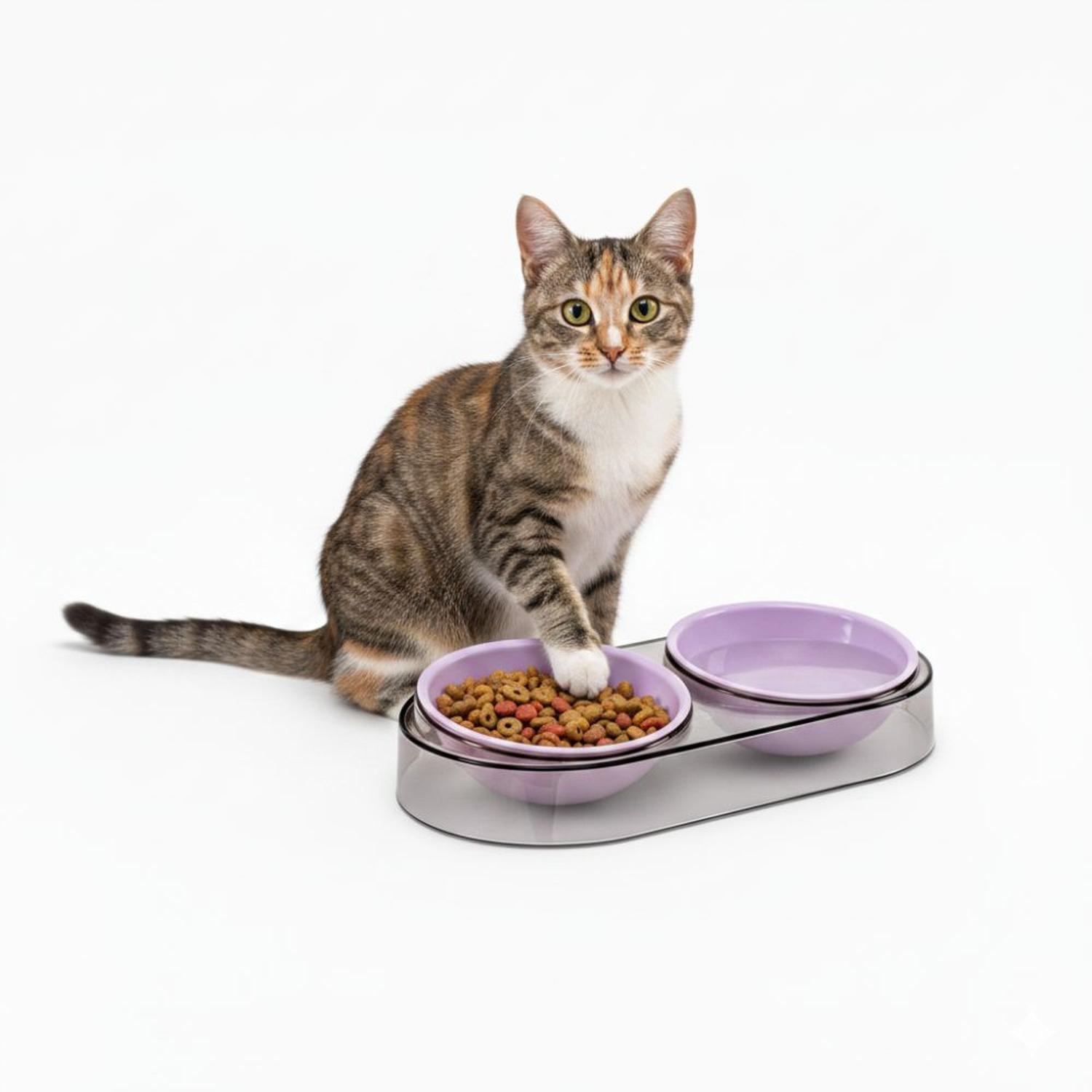 PLATO COMEDERO BEBEDERO DOBLE CUENCO MODERNO PARA MASCOTAS PERROS Y GATOS TAMAÑO M - 1