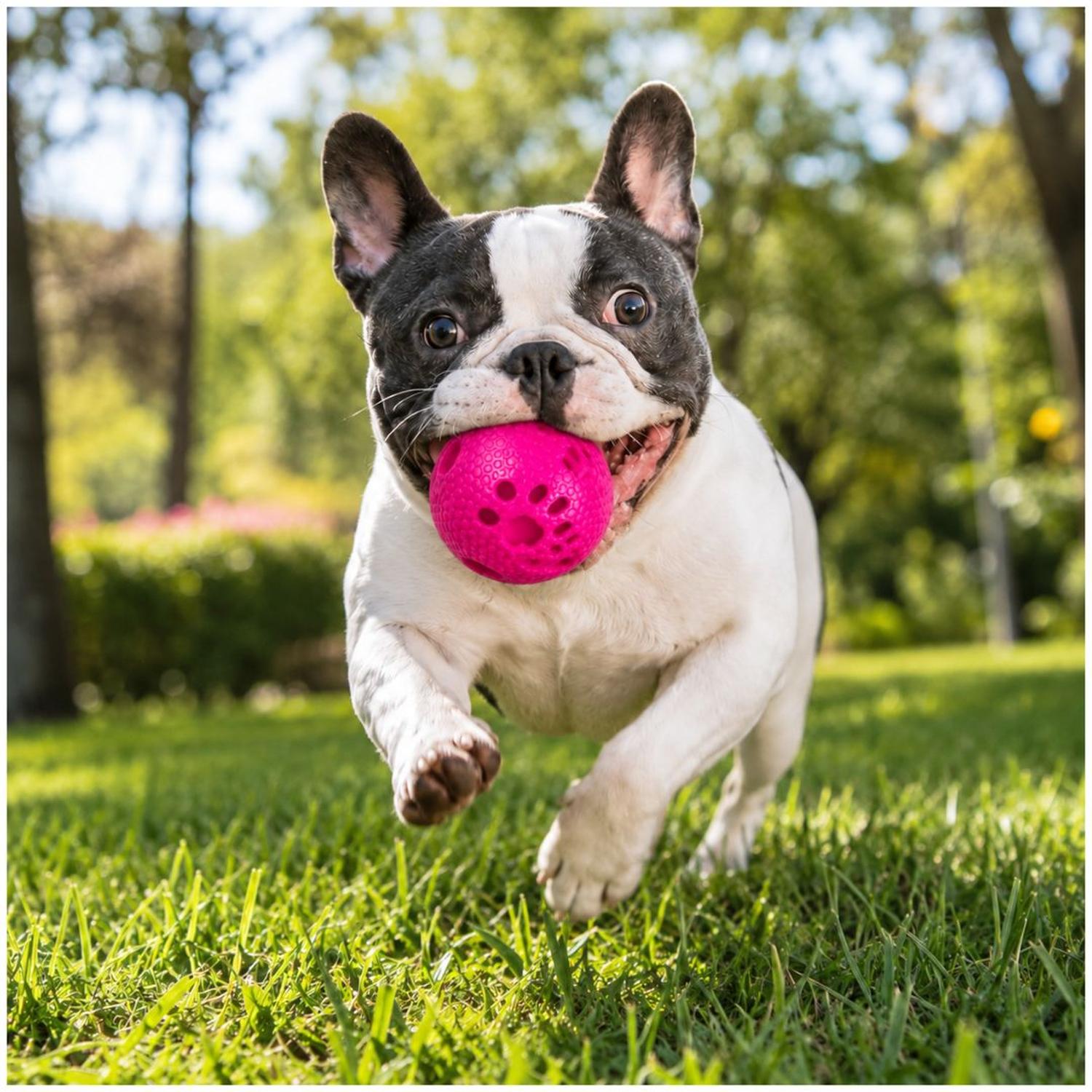PELOTA PARA PERROS MASTICABLE 7.5 CM JUGUETE INTERACTIVO CON TEXTURA ANTIESTRÉS TAMAÑO M - 3