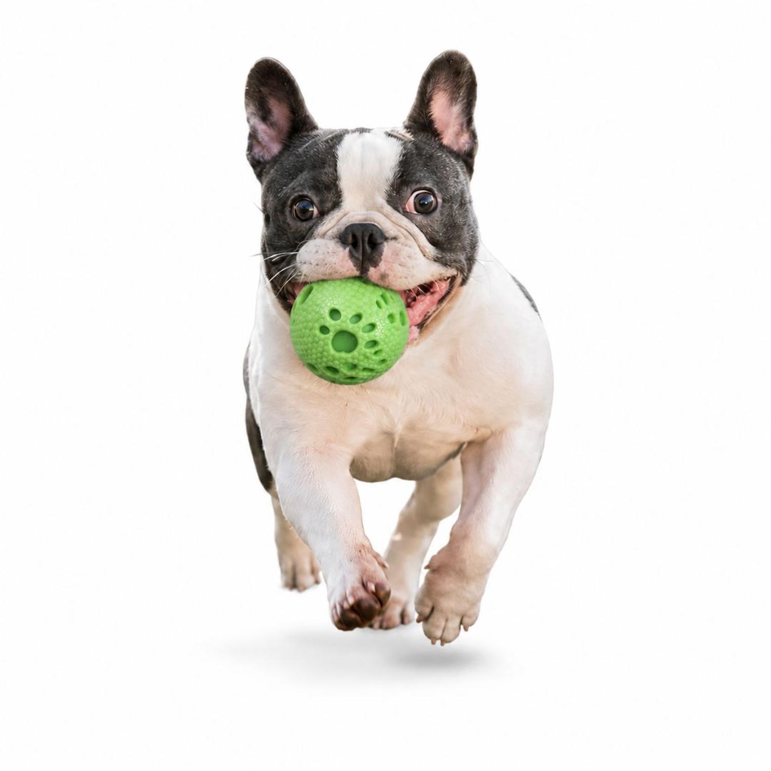 PELOTA PARA PERROS MASTICABLE 7.5 CM JUGUETE INTERACTIVO CON TEXTURA ANTIESTRÉS TAMAÑO M - 5