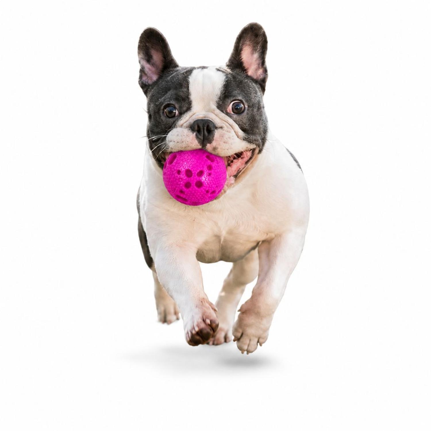 PELOTA PARA PERROS MASTICABLE 7.5 CM JUGUETE INTERACTIVO CON TEXTURA ANTIESTRÉS TAMAÑO M - 5