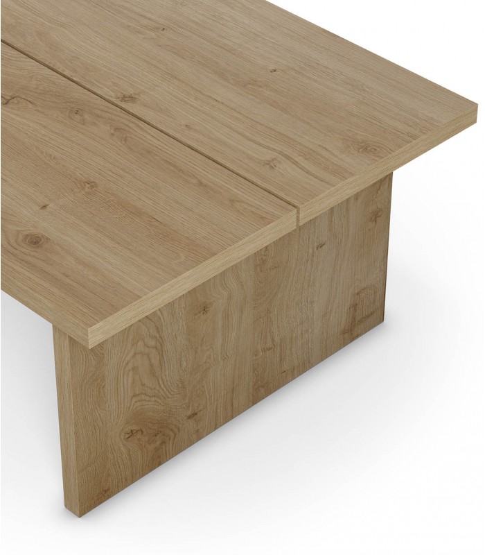 MESA DE CENTRO MODERNO CARLOS DUNA RYR MUEBLES - 4