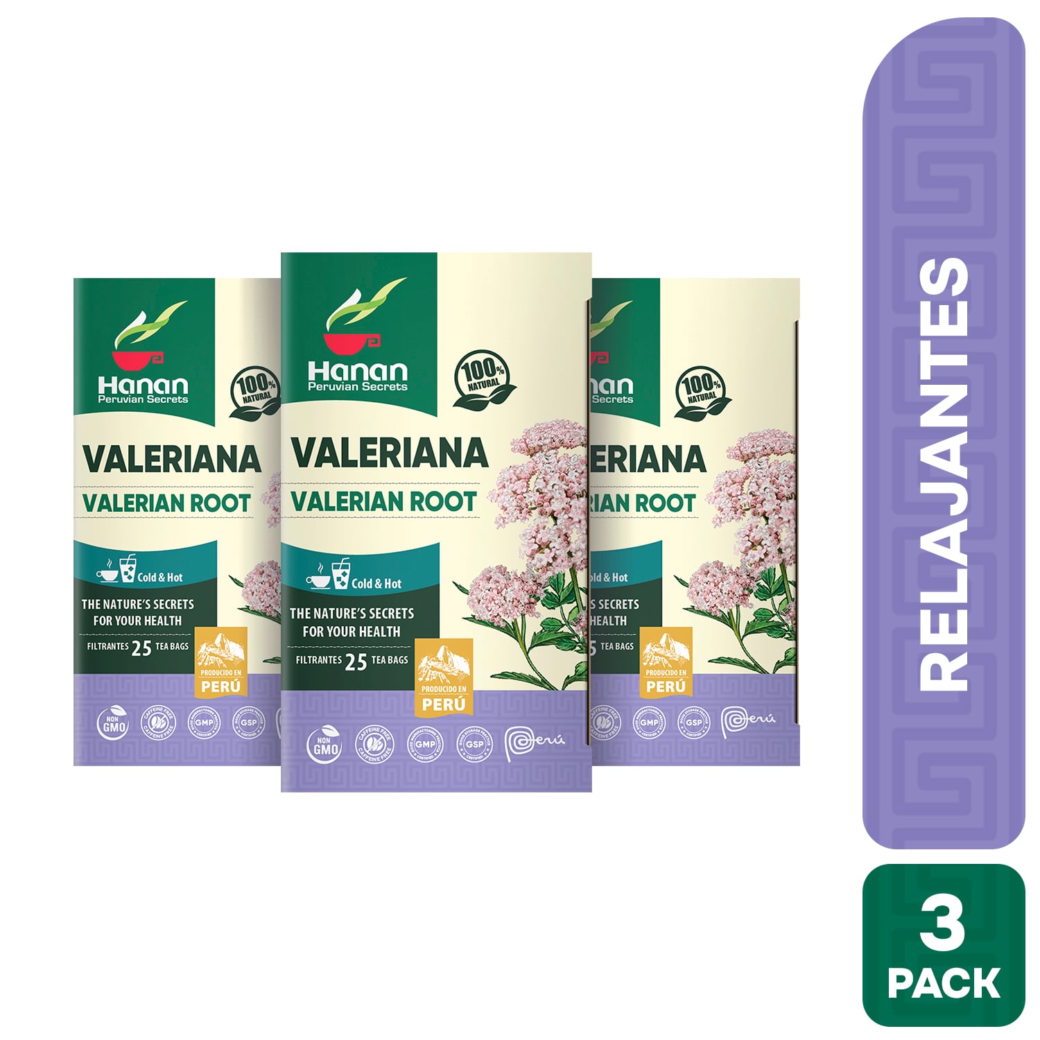 FILTRANTE VALERIANA HANAN TRIPACK 25 UND - 1