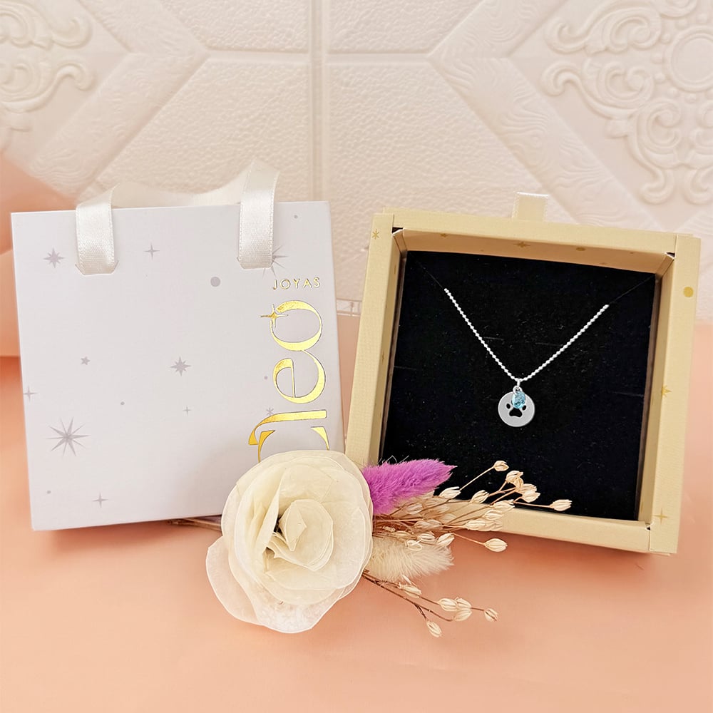 COLLAR HUELLA PET LOVER PLATA - 4