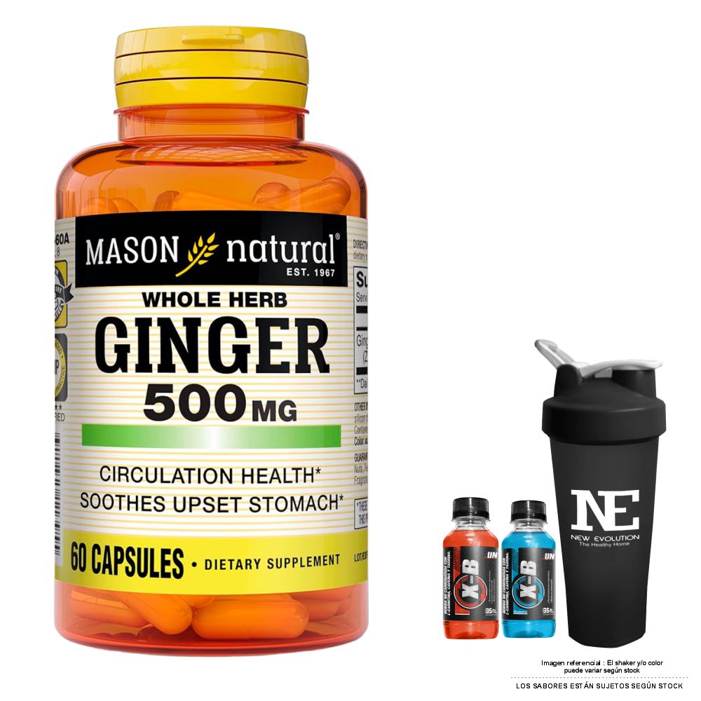 VITAMINAS MASON NATURAL - GINGER (KION) 500 MG (60 CAP) + SHAKER - 1