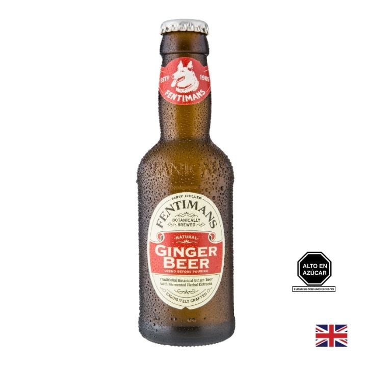 BEBIDAS CARBONATADAS FENTIMANS GINGER BEER X 200 ML - 1