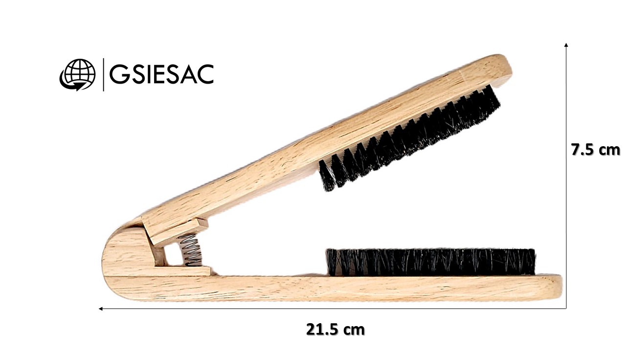 LIZZ PRO PACK PLANCHA PROFESIONAL EXTREME 500°F + (REGALO) CEPILLO ALISADOR - 8
