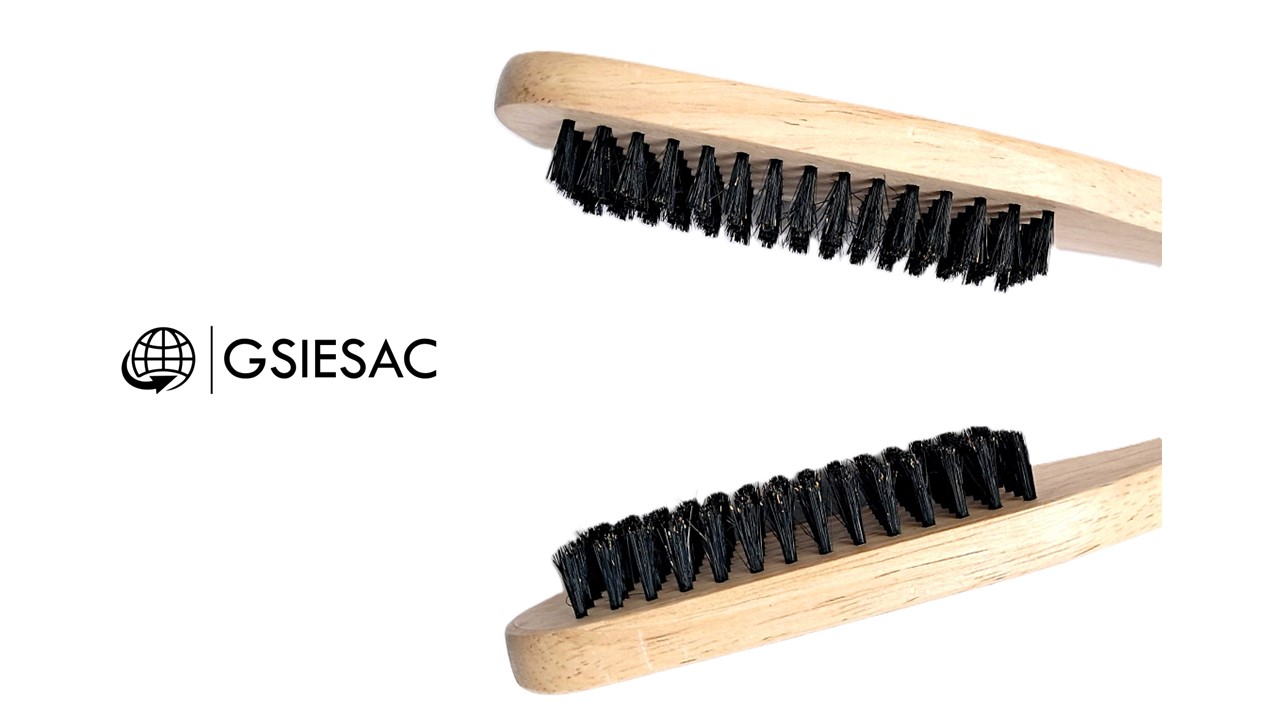 LIZZ PRO PACK PLANCHA PROFESIONAL EXTREME 500°F + (REGALO) CEPILLO ALISADOR - 9