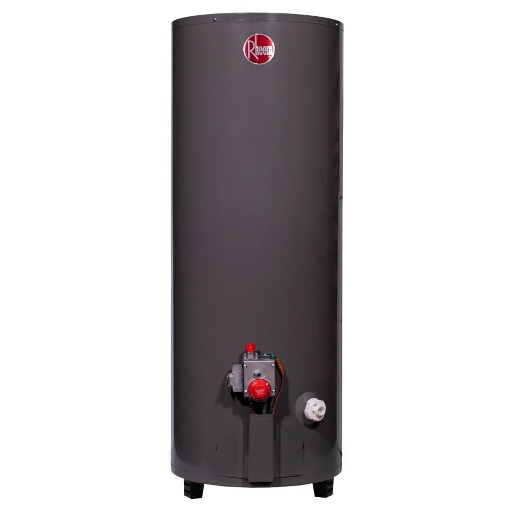 TERMA A GAS RHEEM TIRO FORZADO 21L GN - PRESTIGE - 5