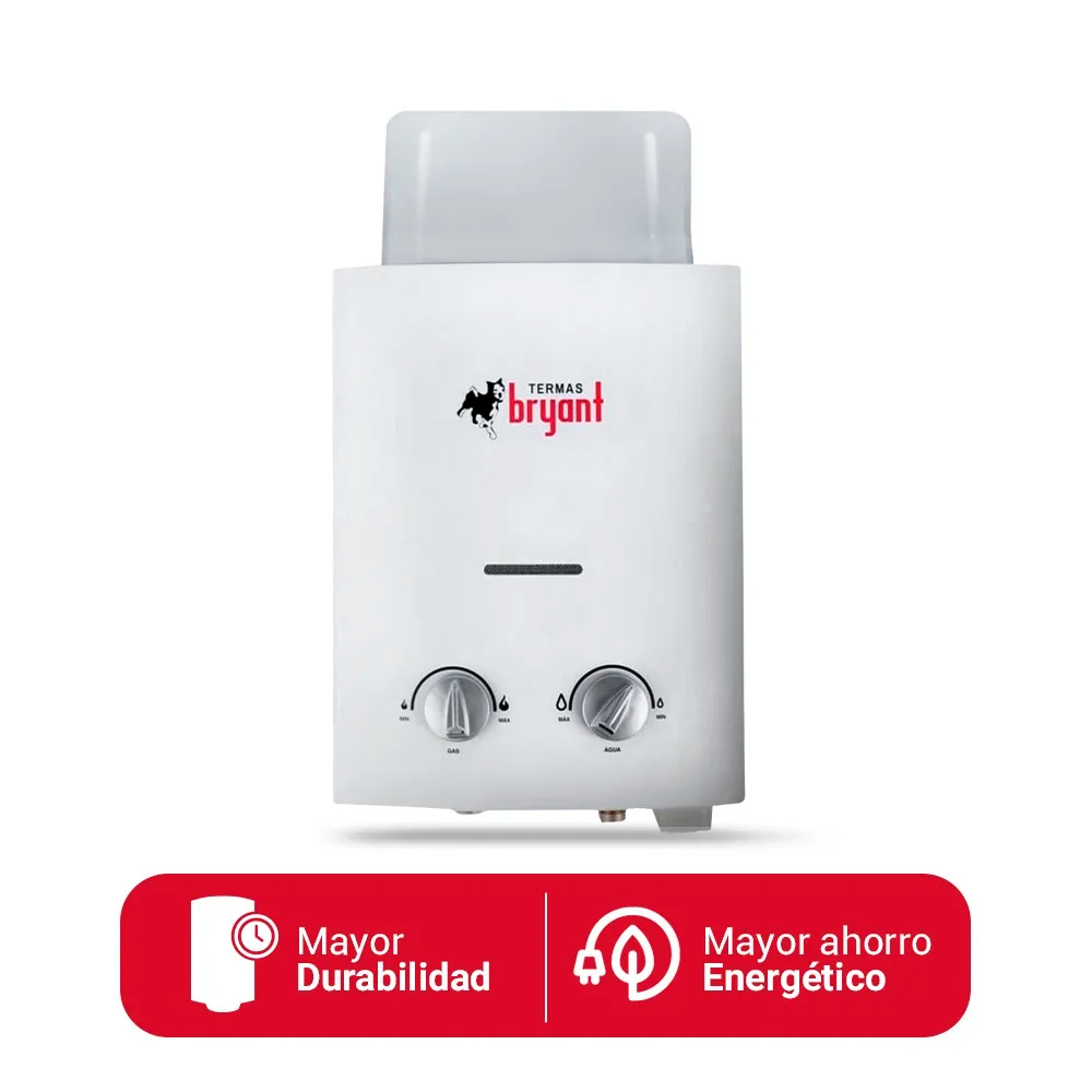 TERMA A GAS NATURAL BRYANT 5.5L TIRO NATURAL - 3
