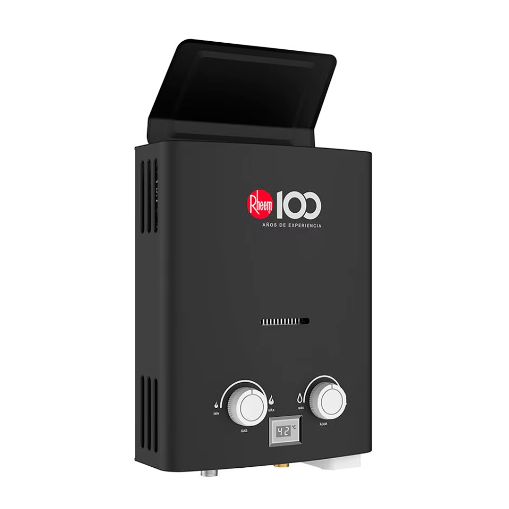 TERMA A GAS 8L GN TIRO NATURAL SIN DUCTO RHEEM - 3