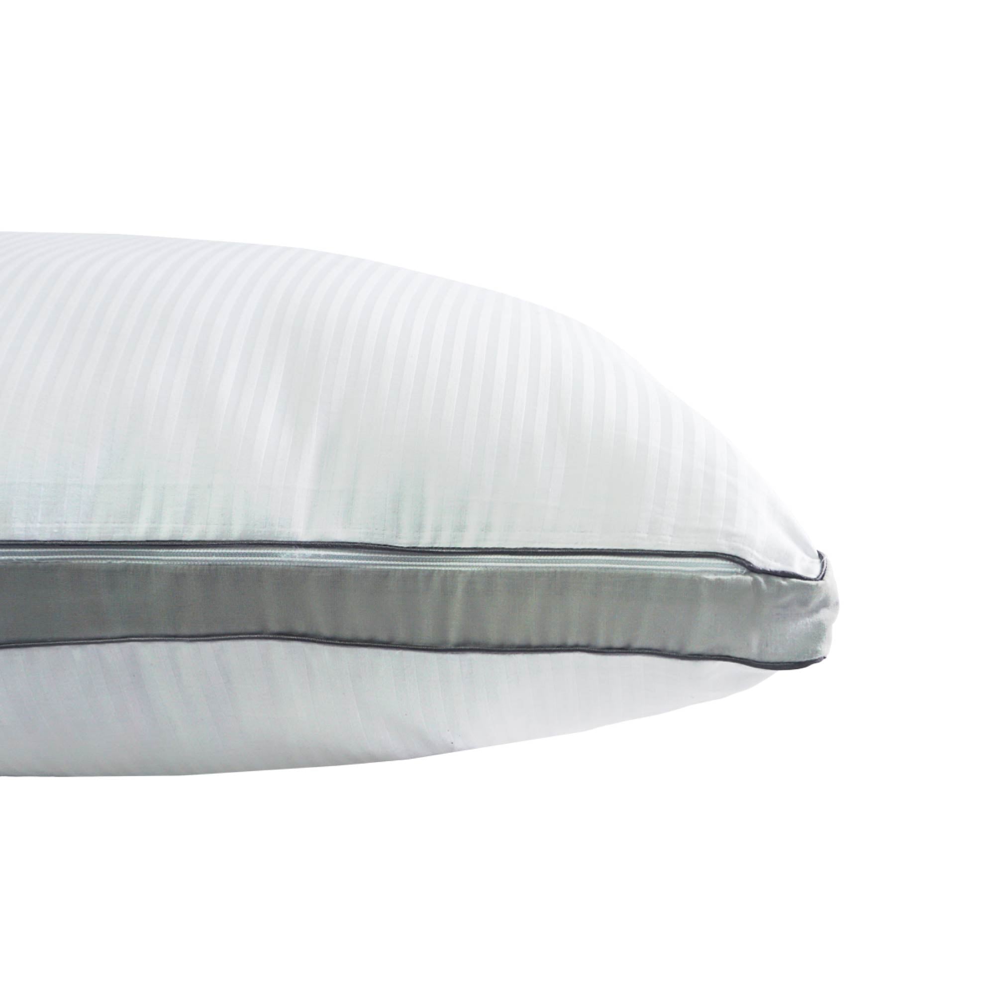 PACK 2 ALMOHADAS PLATINUM 300 HILOS PIMA COTTON PREMIUM / PLOMO ARLIN - 4