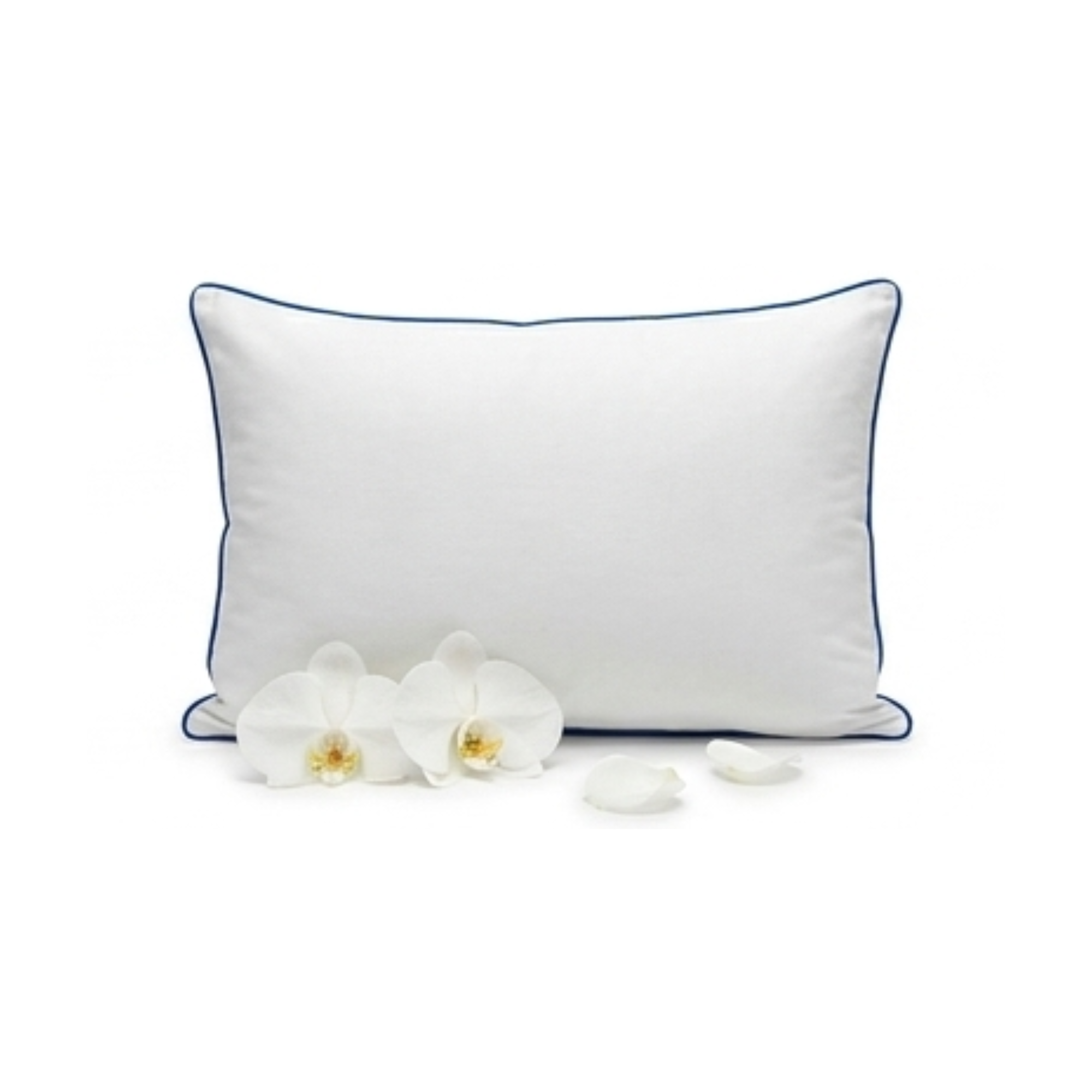 ALMOHADA 220 HILOS ALGODÓN DELUXE / AZUL ARLIN - 1