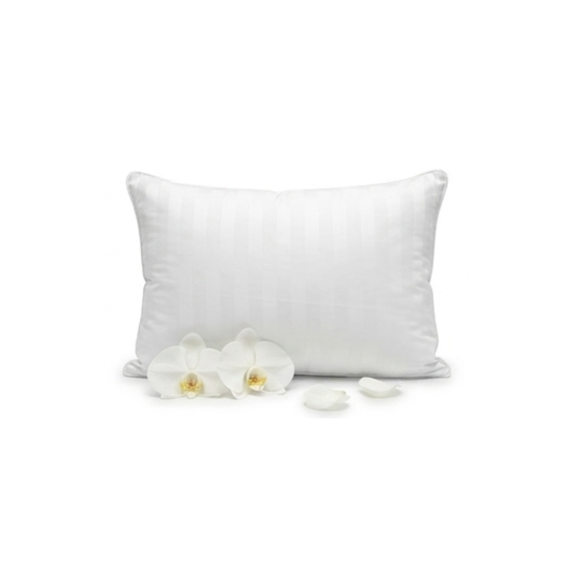 ALMOHADA 300 HILOS PIMA COTTON PREMIUM / BLANCO ARLIN - 1