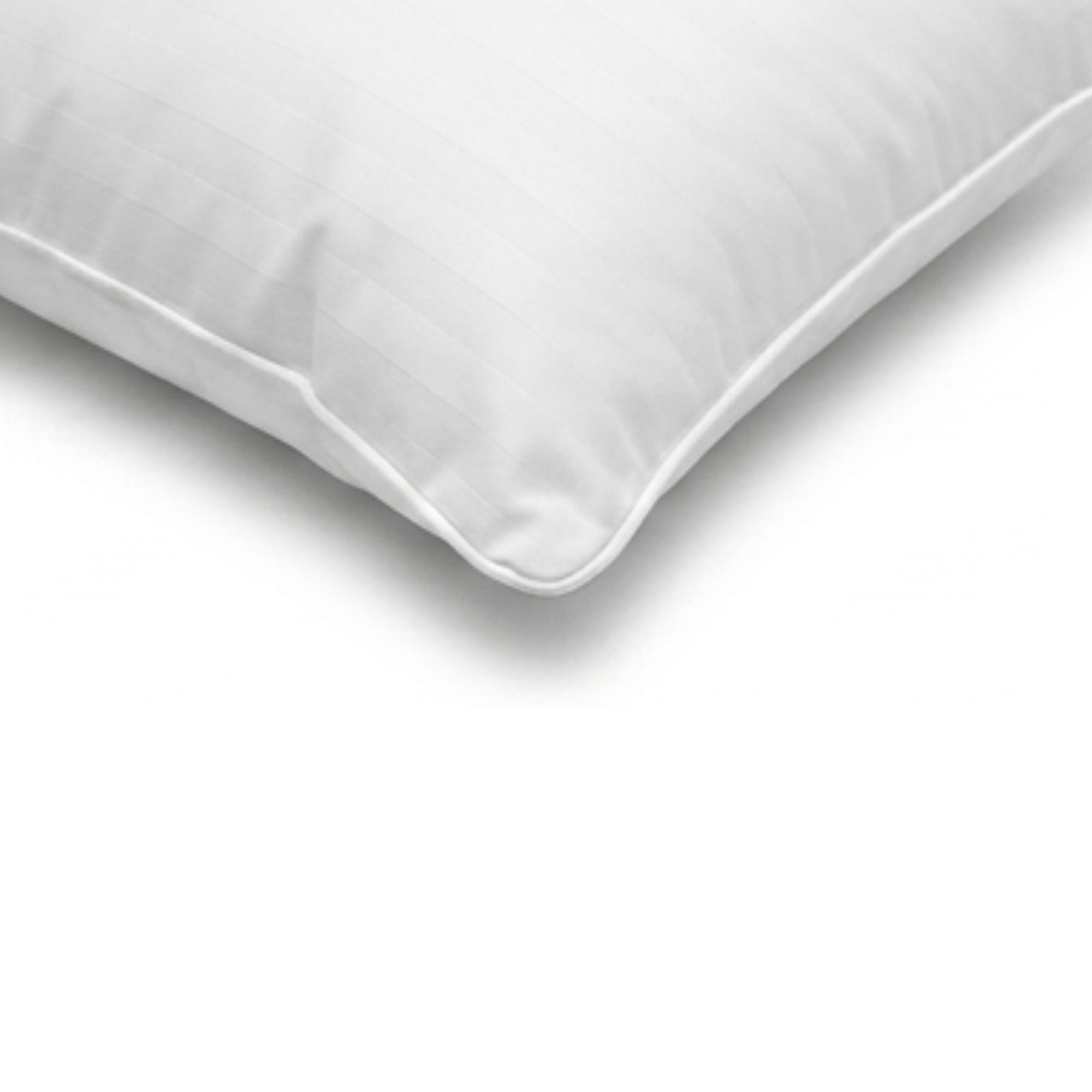 ALMOHADA 300 HILOS PIMA COTTON PREMIUM / BLANCO ARLIN - 5