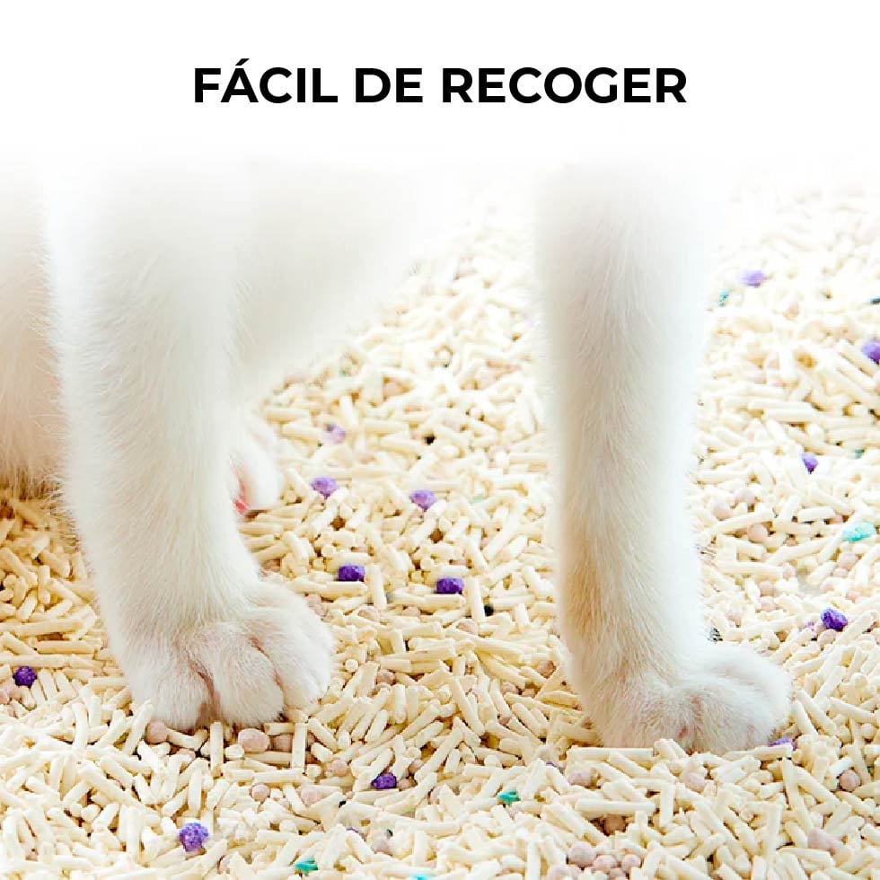 ARENA PETKIT CLUMP+ TOFU MIXTA – PACK X3 2.4 KG - 5