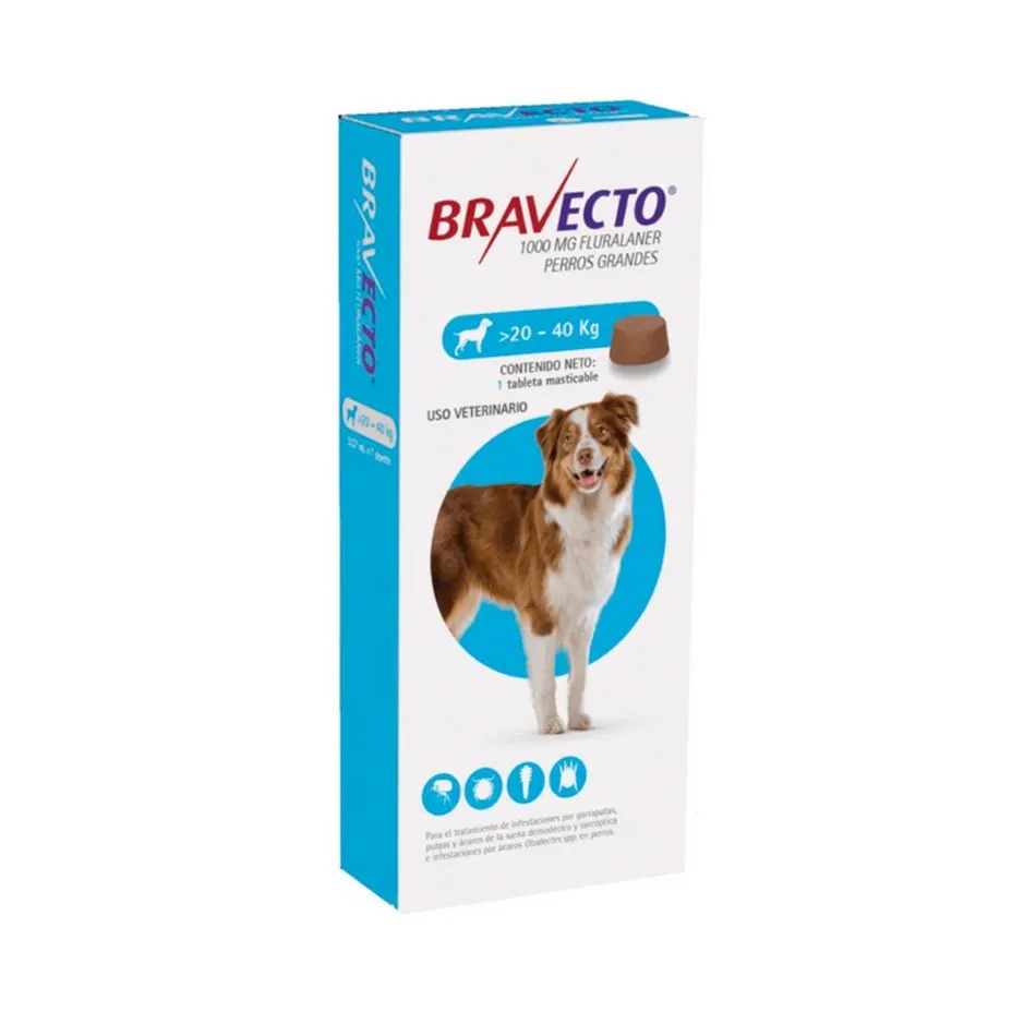 BRAVECTO PERRO GRANDE 20–40 KG – ANTIPULGAS Y GARRAPATAS MASTICABLE 3 MESES - 1