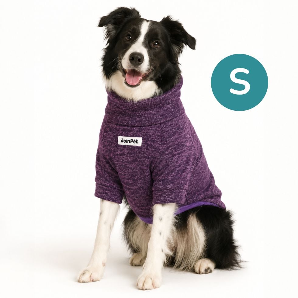 CAFARENA PARA PERROS UVA JOINPET TALLA S - 1