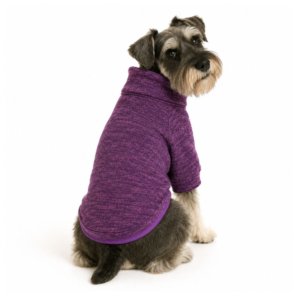 CAFARENA UVA PARA PERROS JOINPET TALLA M - 2