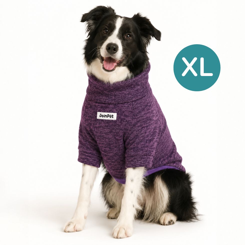 CAFARENA PARA PERROS UVA JOINPET TALLA XL - 1