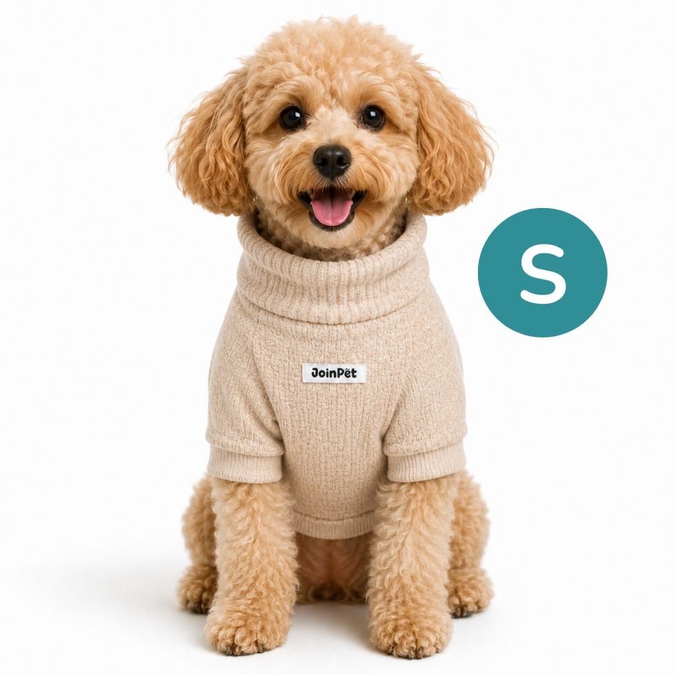 CAFARENA SWEET LATTE JOINPET - L - 1