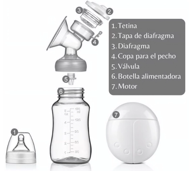 EXTRACTOR DE LECHE ELECTRICO DOBLE + 2 BIBERONES 150 ML + 1 BIBERON AVENT RECIEN NACIDO + 25 BOLSAS AVENT PARA LECHE MATERNA - 2