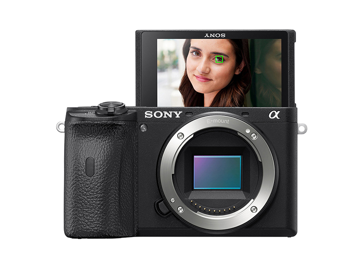 mirrorless camera alfa 6600