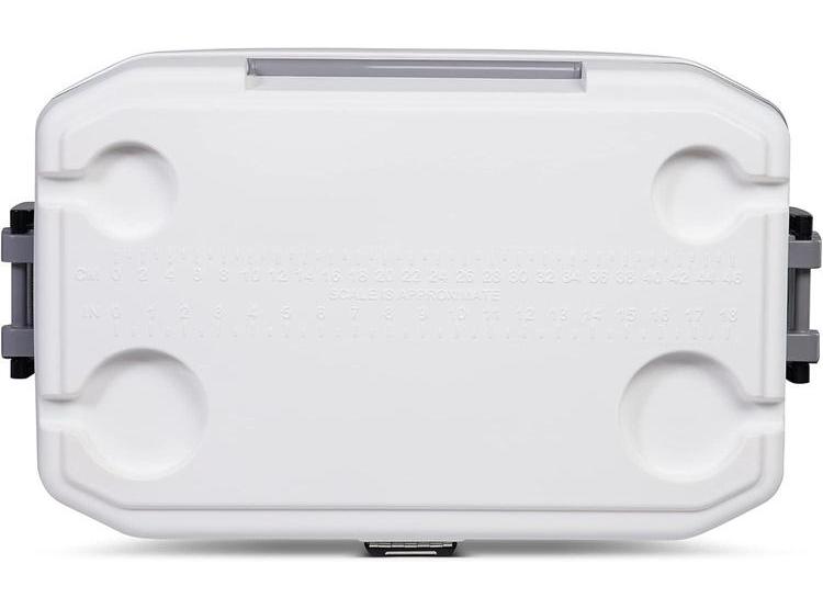 HIELERA PORTÁTIL IGLOO MARINE, AISLADA Y RESISTENTE. PERFECTA PARA PESCA, CAMPING Y ACTIVIDADES AL AIRE LIBRE - 5