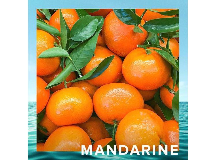CR7 ORIGINS DE CRISTIANO RONALDO EAU DE TOILETTE CON SORBETE DE PIÑA MANDARINA Y PACHULÍ FRAGANCIA PARA HOMBRE - 7