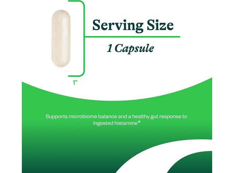 PROBIÓTICO HISTAMINX DE SEEKING HEALTH - APOYO DIGESTIVO Y INMUNOLÓGICO, 60 CÁPSULAS - 2