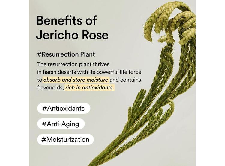 ABIB CREMA OJOS COLÁGENO JERICÓ PARA OJERAS E HINCHAZÓN LÍNEAS FINAS - 5