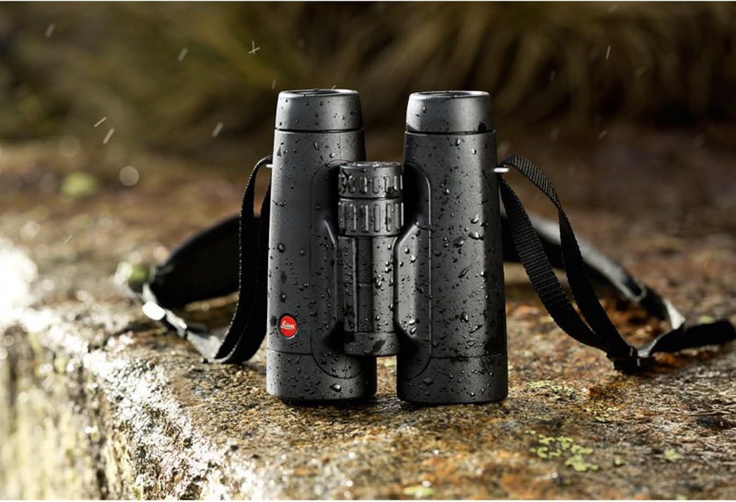 BINOCULARES LEICA TRINOVID 8X42 - 3