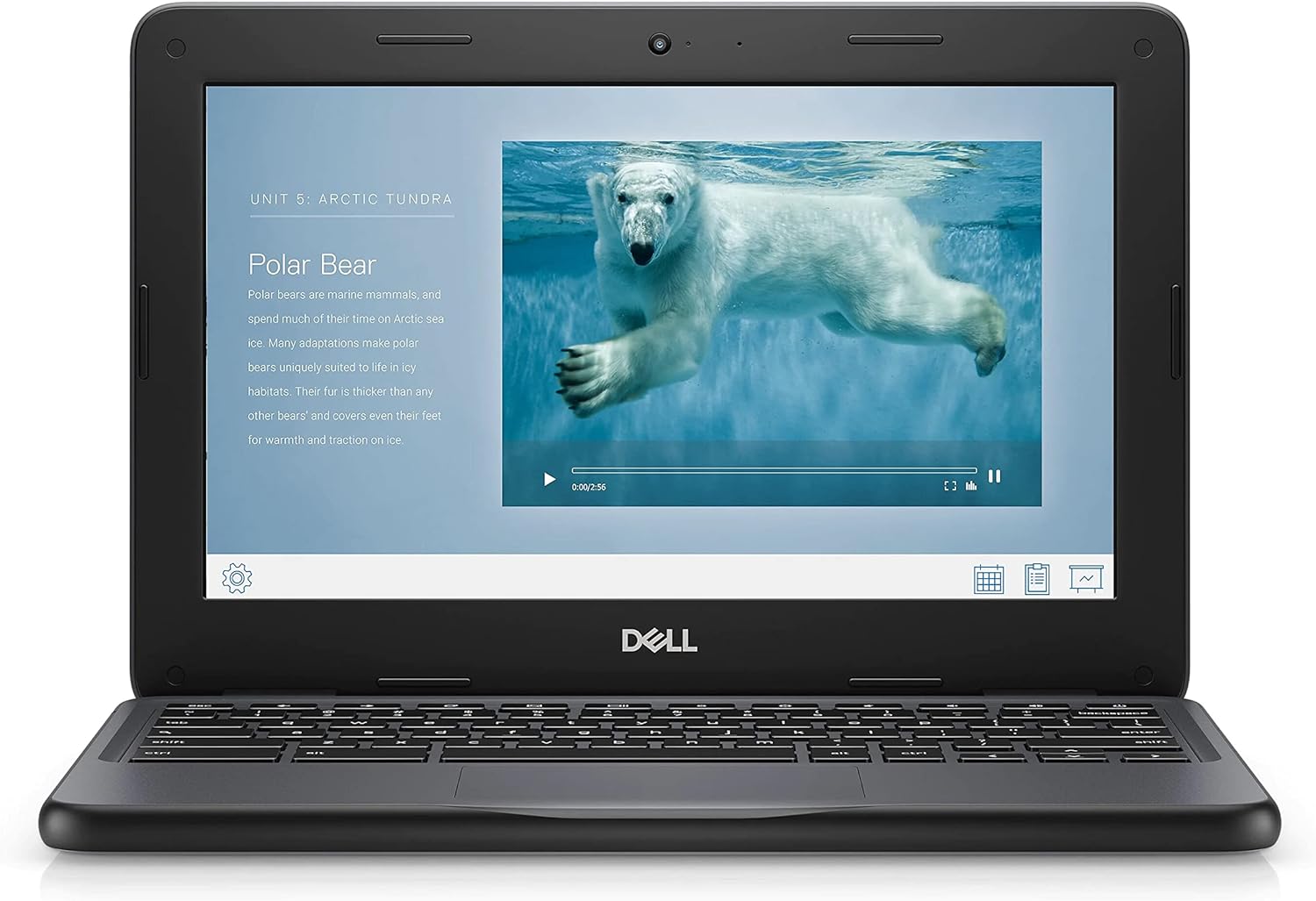 CHROMEBOOK DELL 11 3100 11.6' CELERON N4020 4GB RAM 16GB FLASH CHROME OS REACONDICIONADO - 2