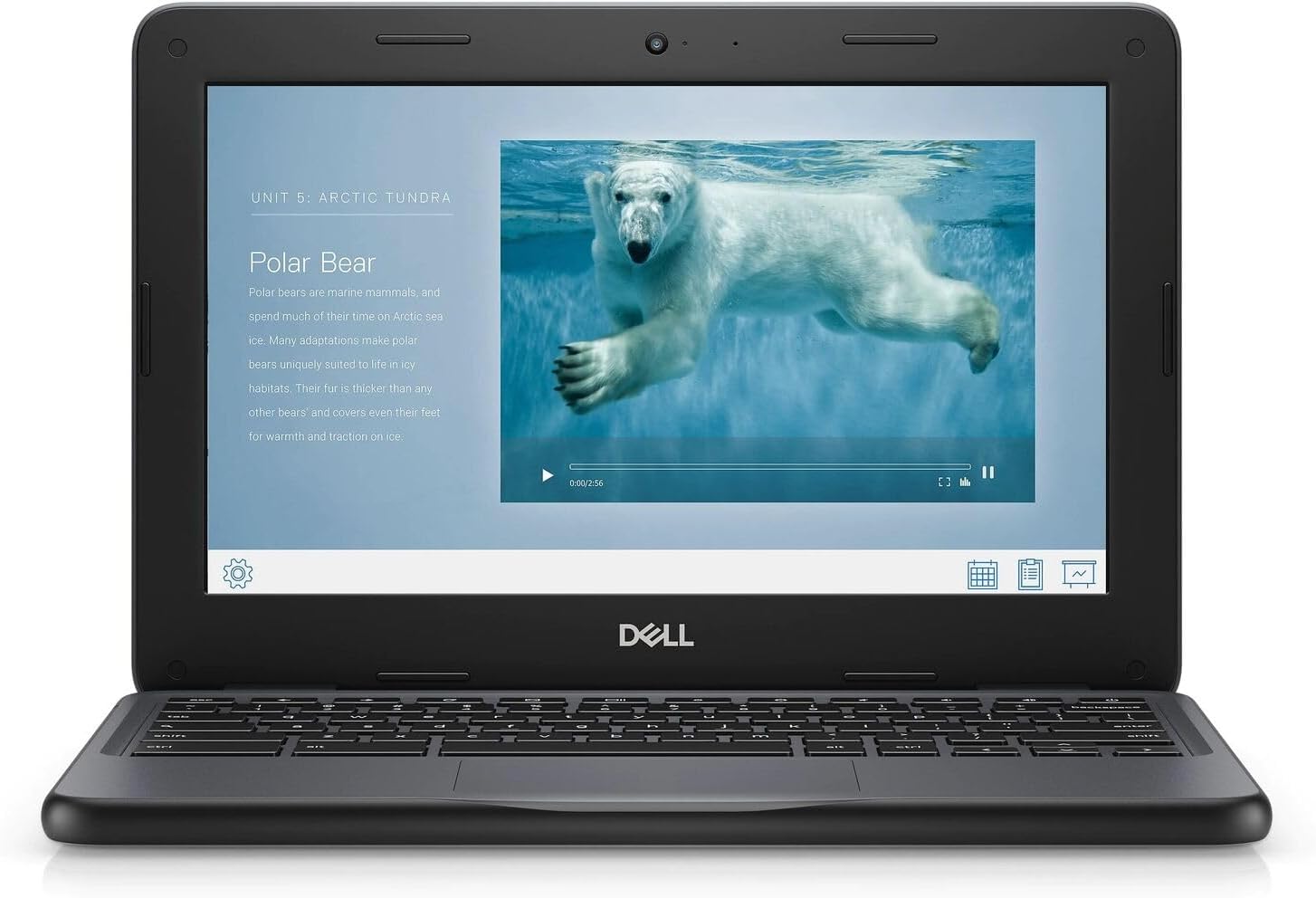 CHROMEBOOK DELL 11 3100 11.6' CELERON N4020 4GB RAM 16GB FLASH CHROME OS REACONDICIONADO - 5