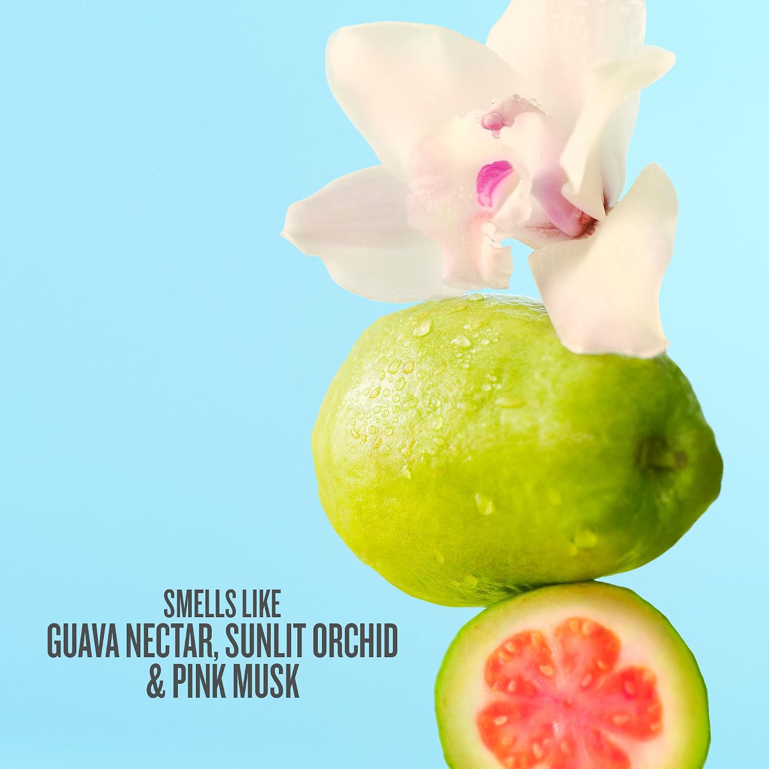 PERFUME MIST SOL DE JANEIRO CHEIROSA 48 HAIR Y BODY - 3