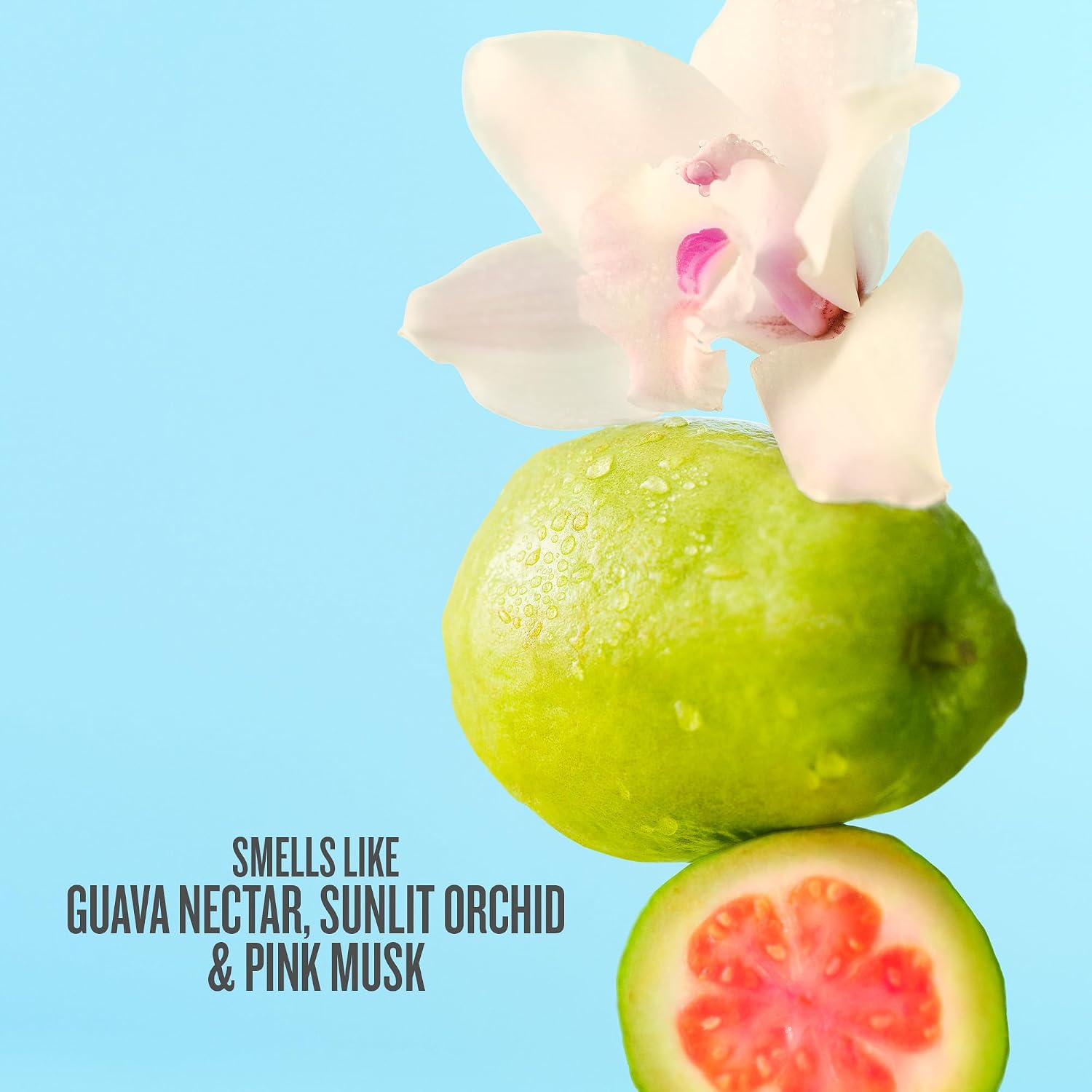 PERFUME MIST SOL DE JANEIRO CHEIROSA 48 HAIR Y BODY - 3