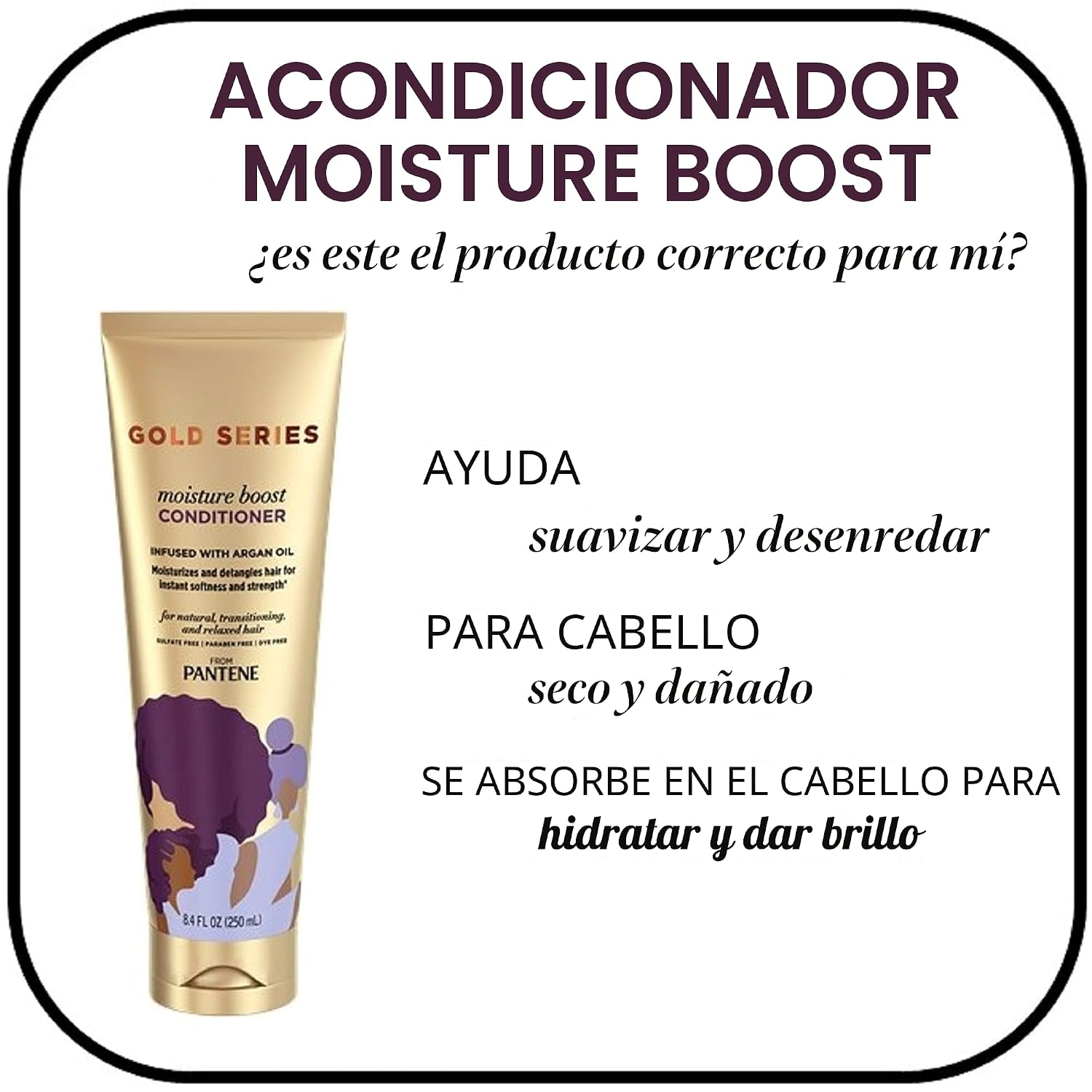SHAMPOO Y ACONDICIONADOR PANTENE GOLD SERIES SIN SULFATOS CON ACEITE DE ARGÁN PARA CABELLO RIZADO Y TEXTURIZADO, 16.9 FL OZ - 3