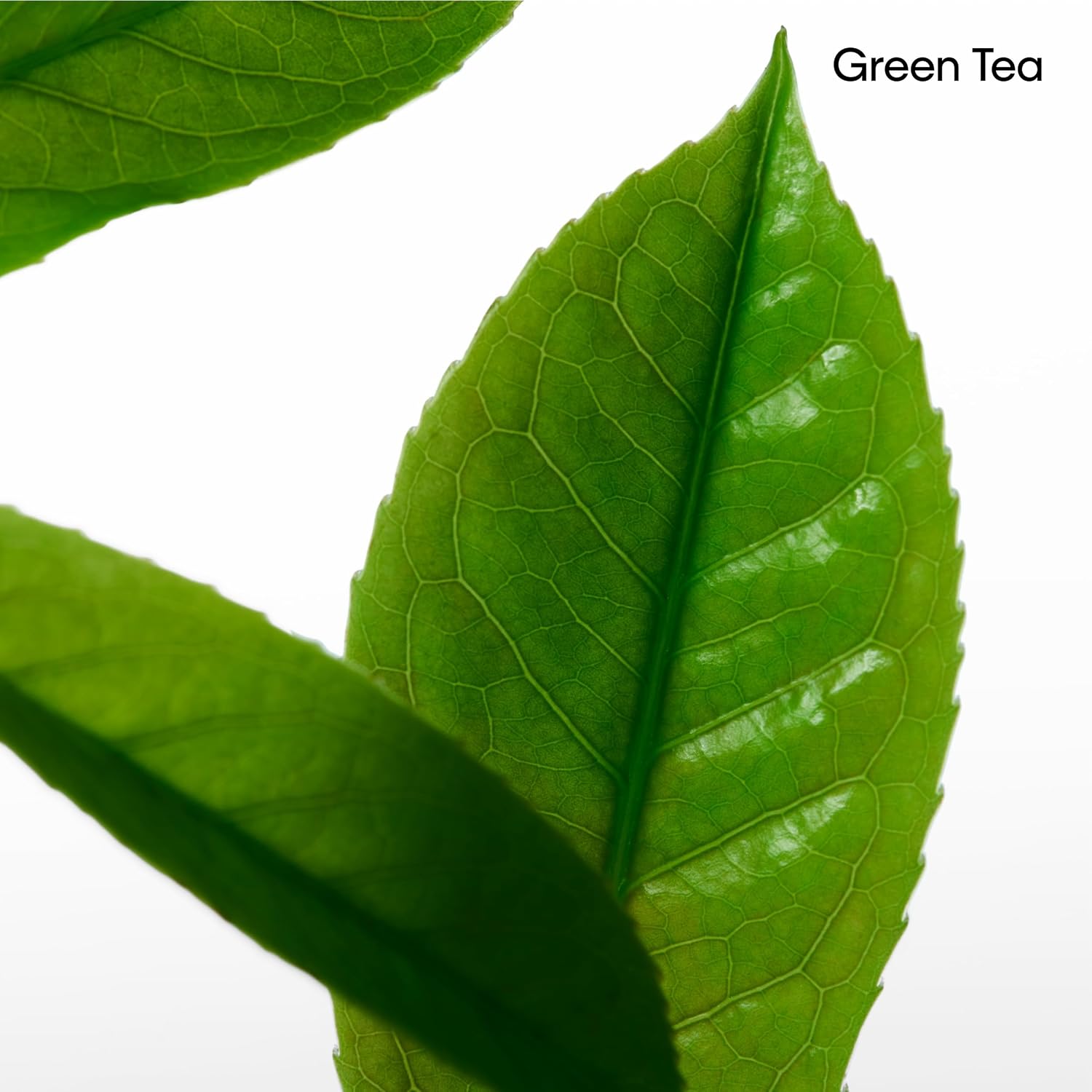 GEL DE DUCHA CALVIN KLEIN CK ONE CON NOTAS DE TÉ VERDE, BERGAMOTA, CARDAMOMO, VIOLETA Y ÁMBAR - 5