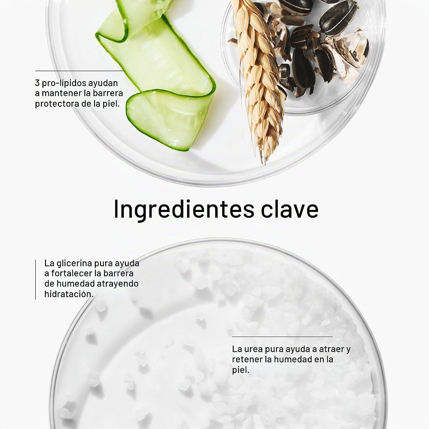 CLINIQUE DRAMATICALLY DIFFERENT MOISTURIZING LOTION+ HIDRATANTE FACIAL - 3