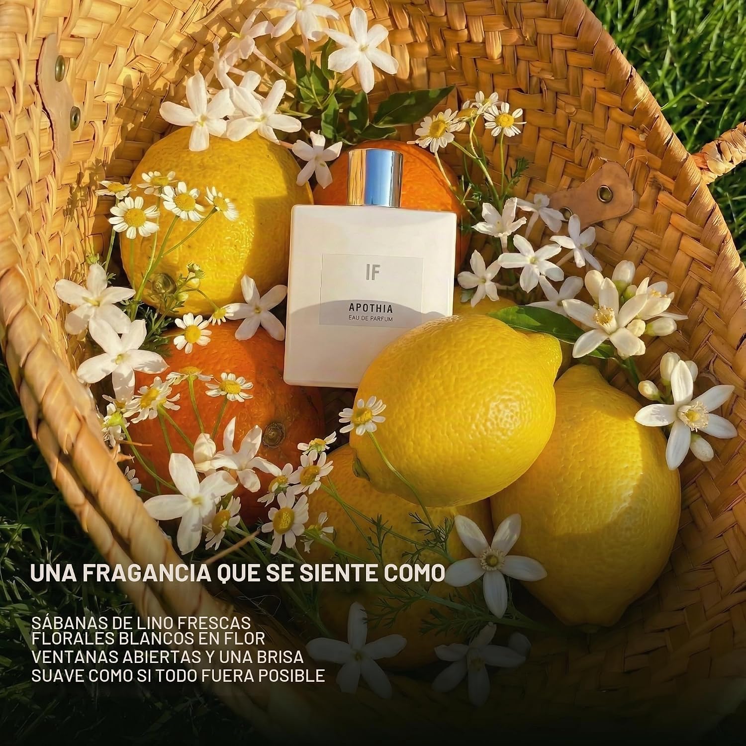 PERFUME APOTHIA IF EAU DE PARFUM 50ML FLORAL BLANCO PARA MUJER - 3