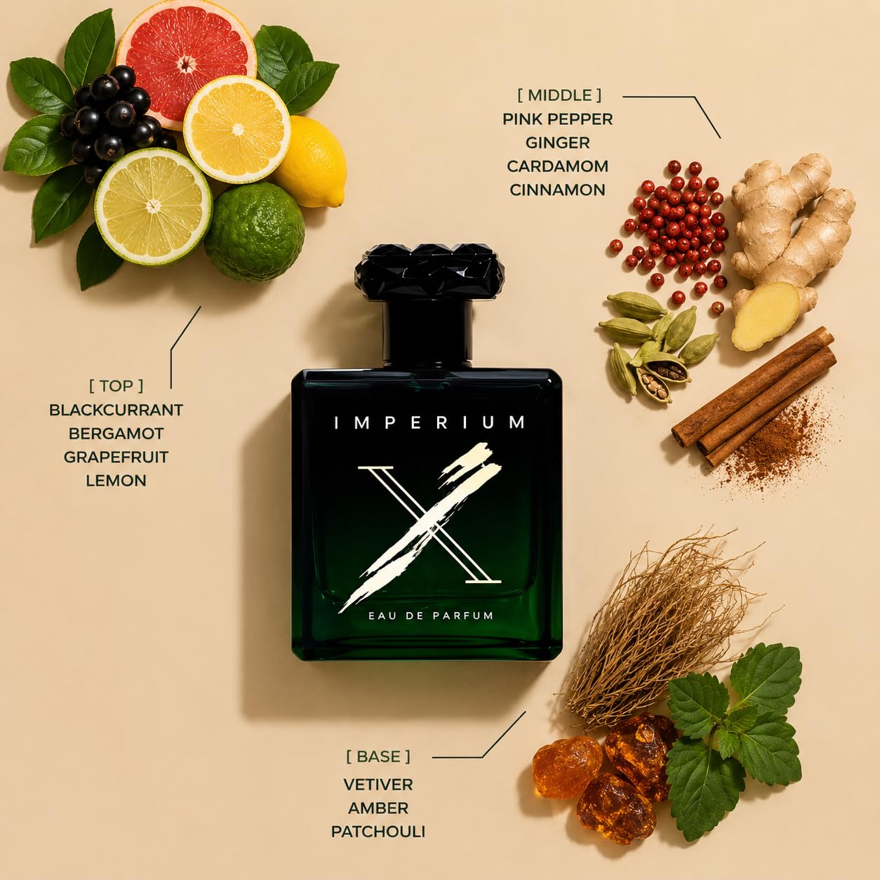 PERFUME FRAGRANCE WORLD IMPERIUM X EDP UNISEX 100ML - 2