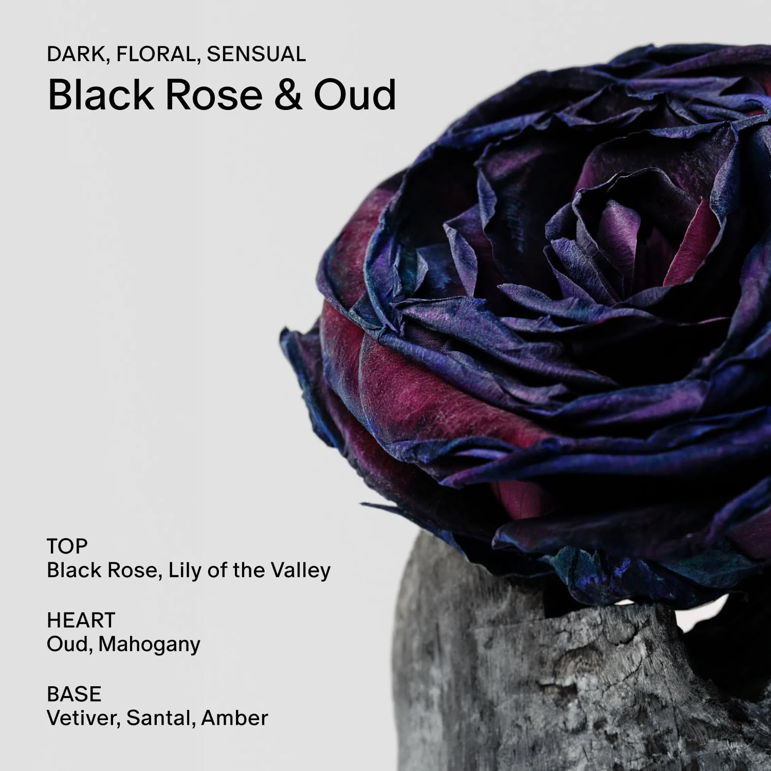 DESODORANTE SALT Y STONE SIN ALUMINIO BLACK ROSE Y OUD 2.6 OZ - 4