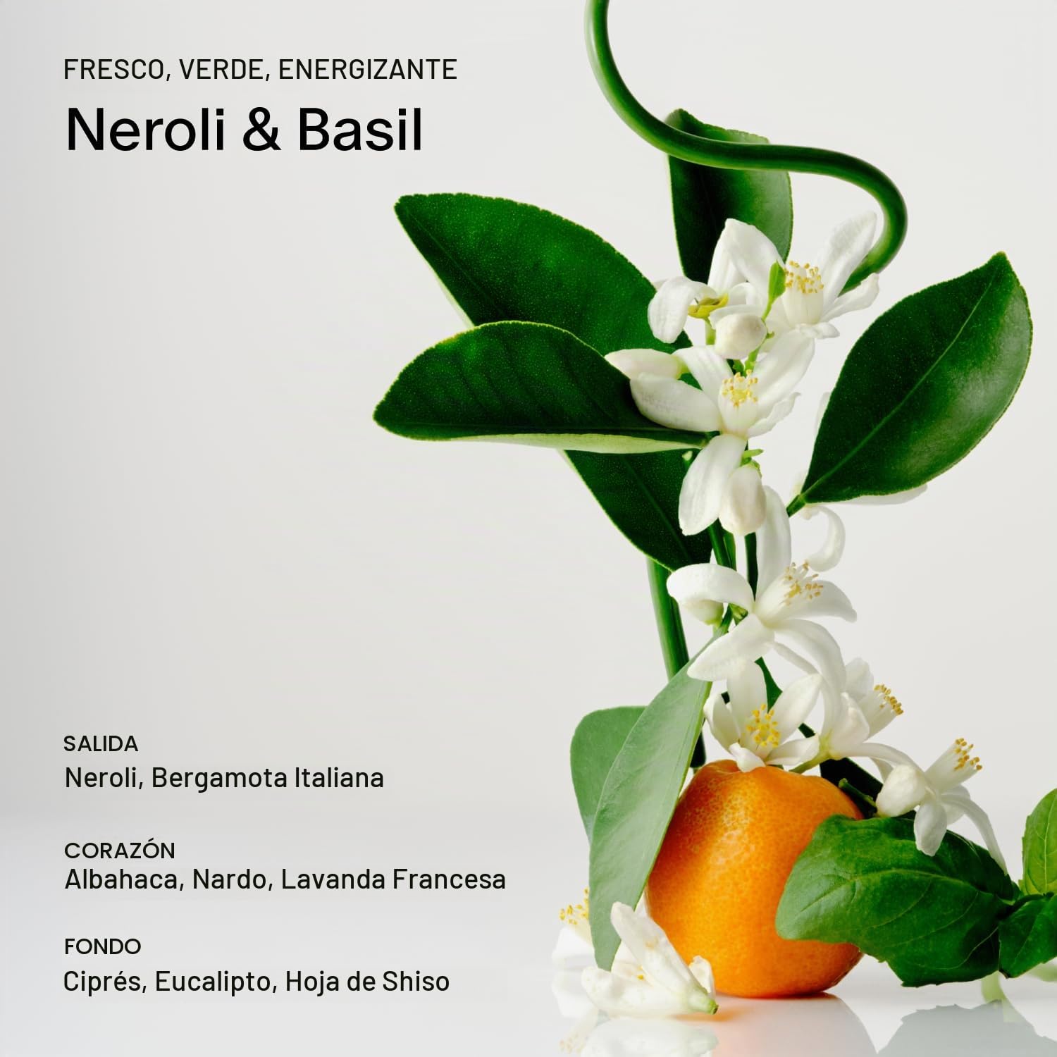 DESODORANTE SALT Y STONE SIN ALUMINIO NEROLI Y BASIL 2.6 OZ - 4