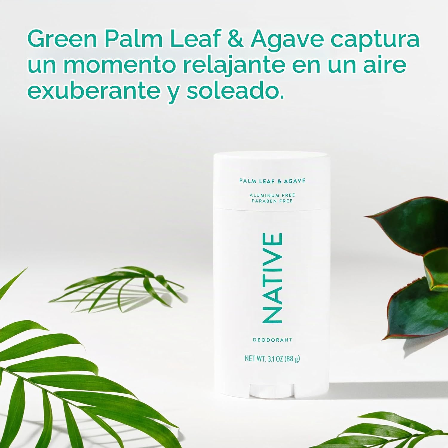 DESODORANTE NATIVE SIN ALUMINIO AROMA HOJA DE PALMA Y AGAVE 3.1 OZ - 4