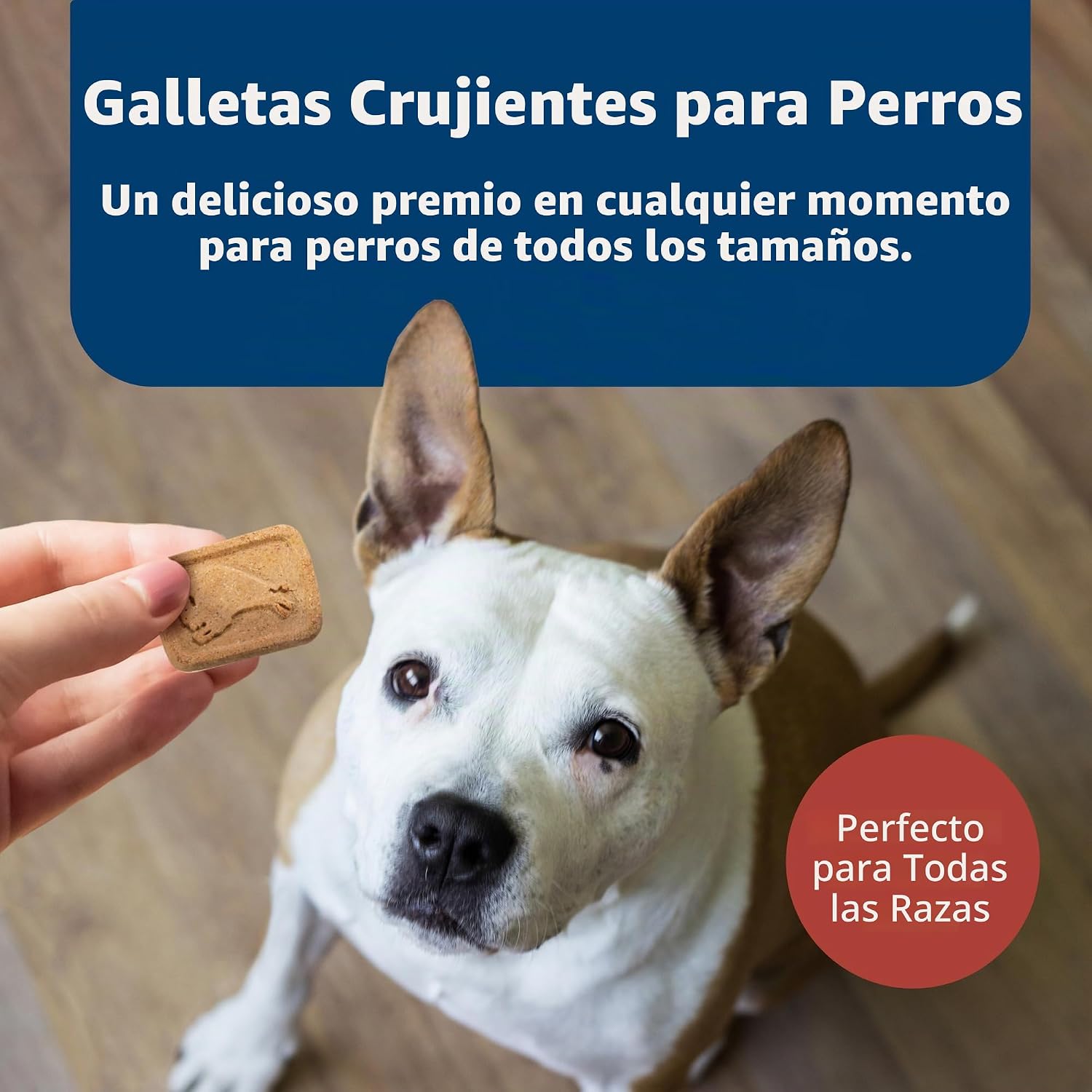 GALLETAS PARA PERROS BLUE BUFFALO HEALTH BARS BACON HUEVO Y QUESO MINI 12 UNIDADES - 4