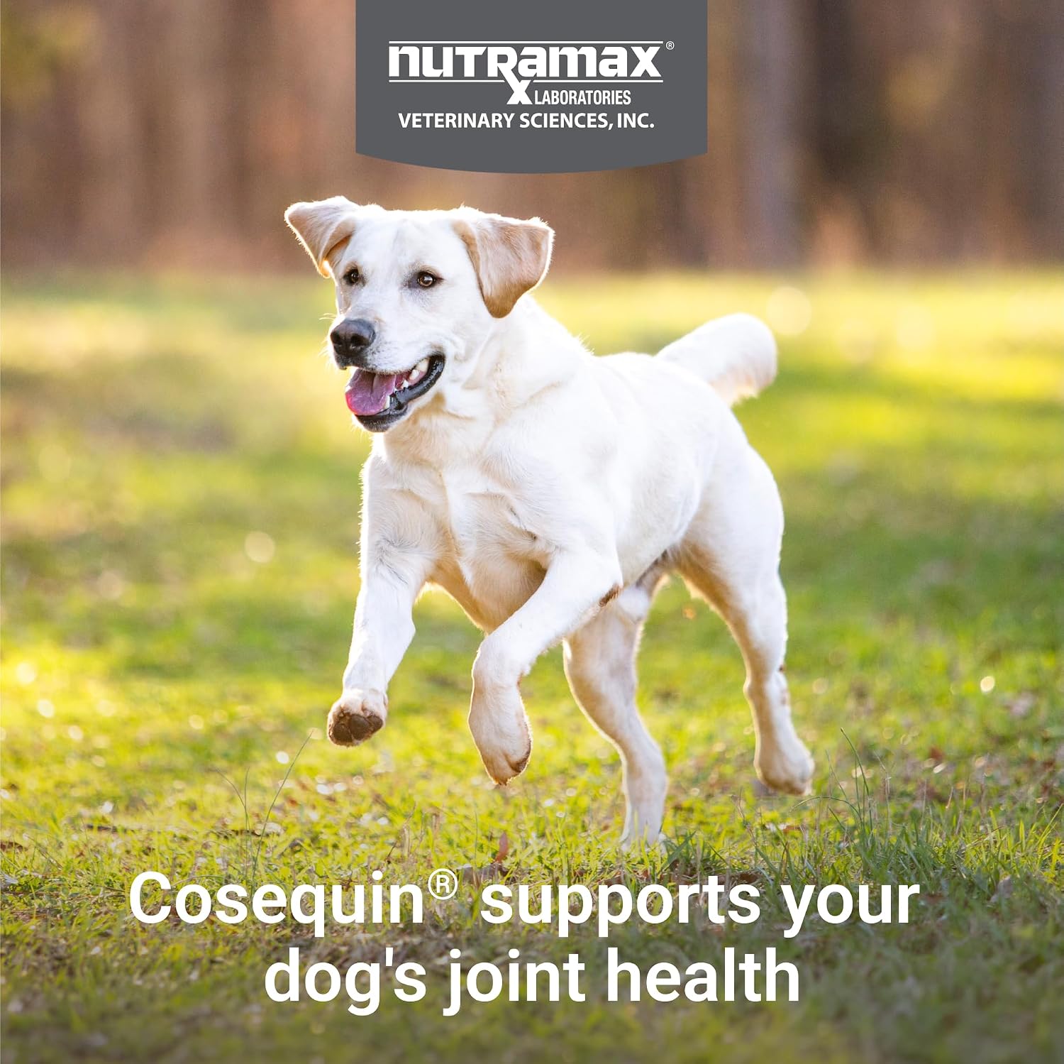 SUPLEMENTO ARTICULAR NUTRAMAX COSEQUIN PARA PERROS, TABLETAS MASTICABLES, 132 UNIDADES - 3